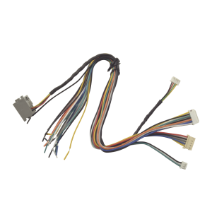 Juego de cables de conexion para Bioentry plus