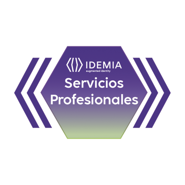 REMOTE ASSISTANCE JUNIOR 4 HORAS