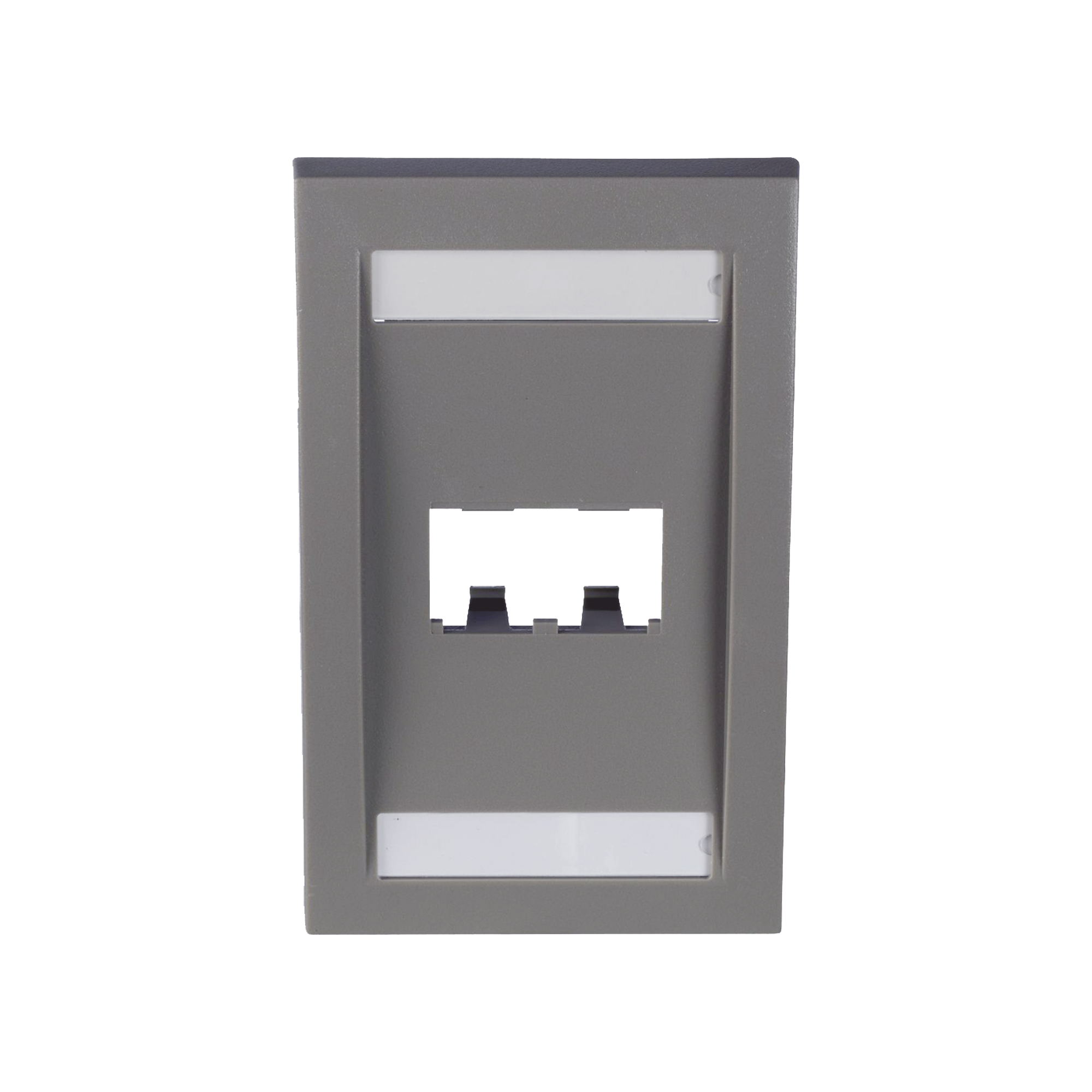 Placa de Pared Vertical Ejecutiva, Salida Para 2 Puertos Mini-Com, Con Espacios Para Etiquetas, Color Gris