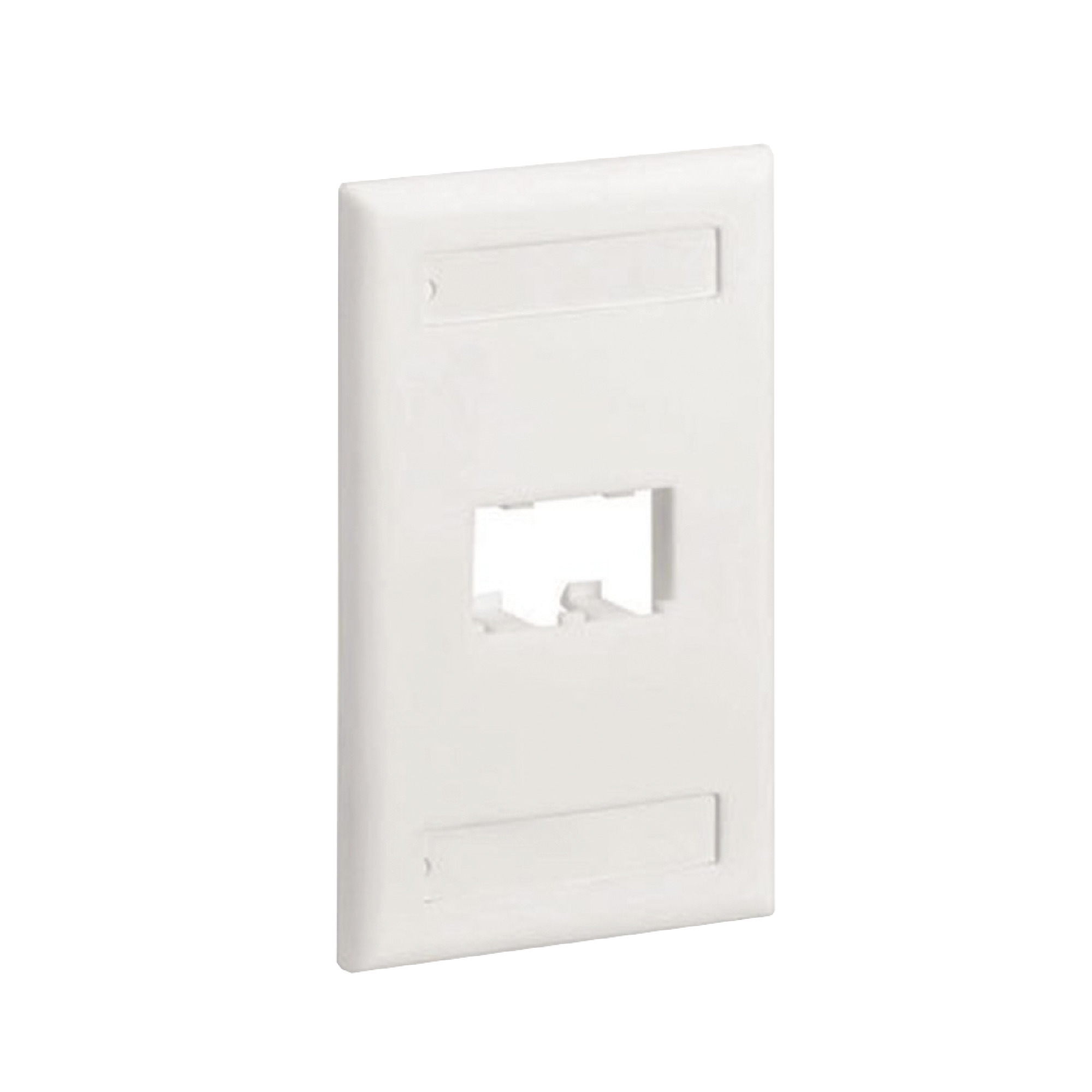 Placa de Pared Vertical Clásica, Salida Para 2 Puertos Mini-Com, Con Espacios Para Etiquetas, Color Blanco Mate