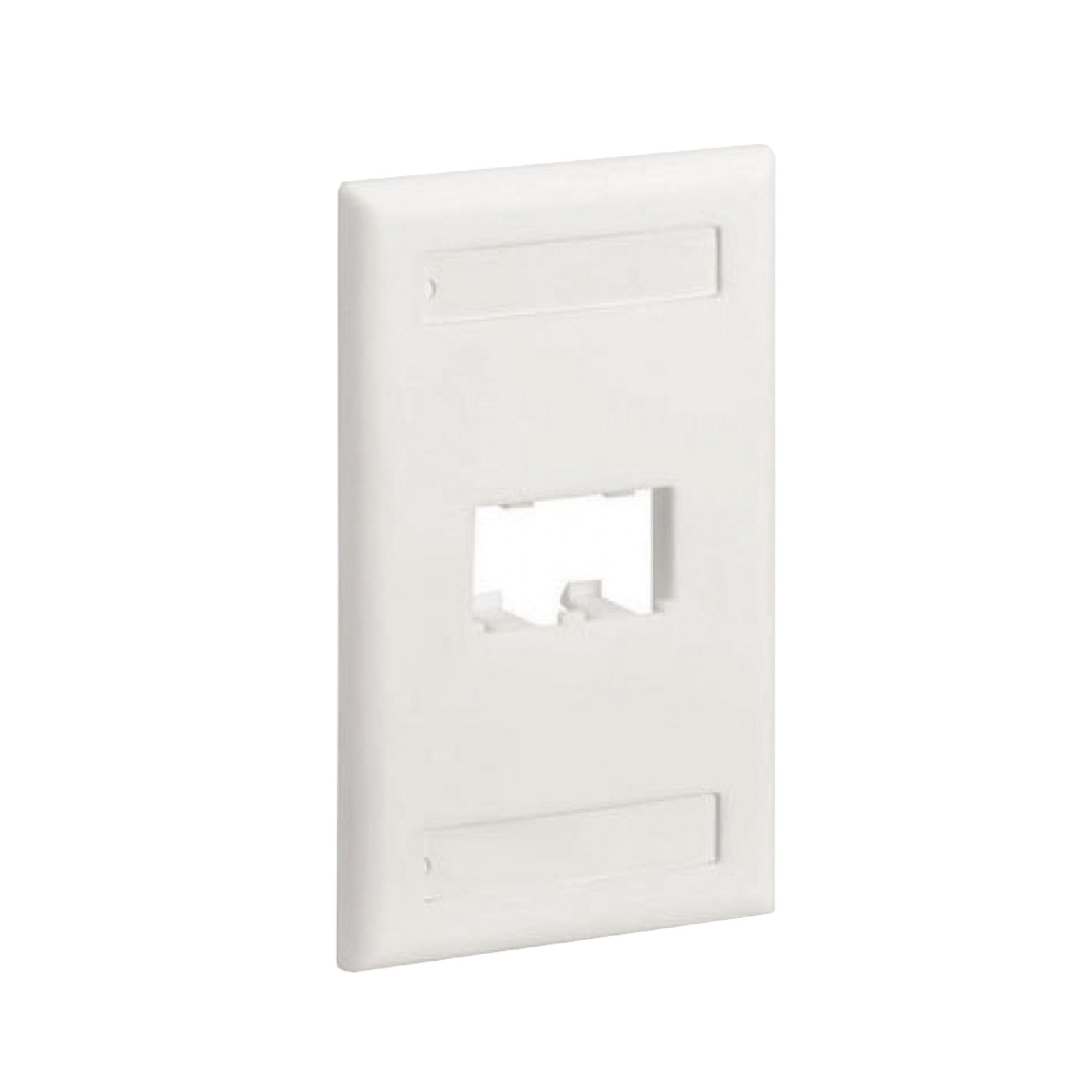 Placa de Pared Vertical Clásica, Salida Para 2 Puertos Mini-Com, Con Espacios Para Etiquetas, Color Blanco