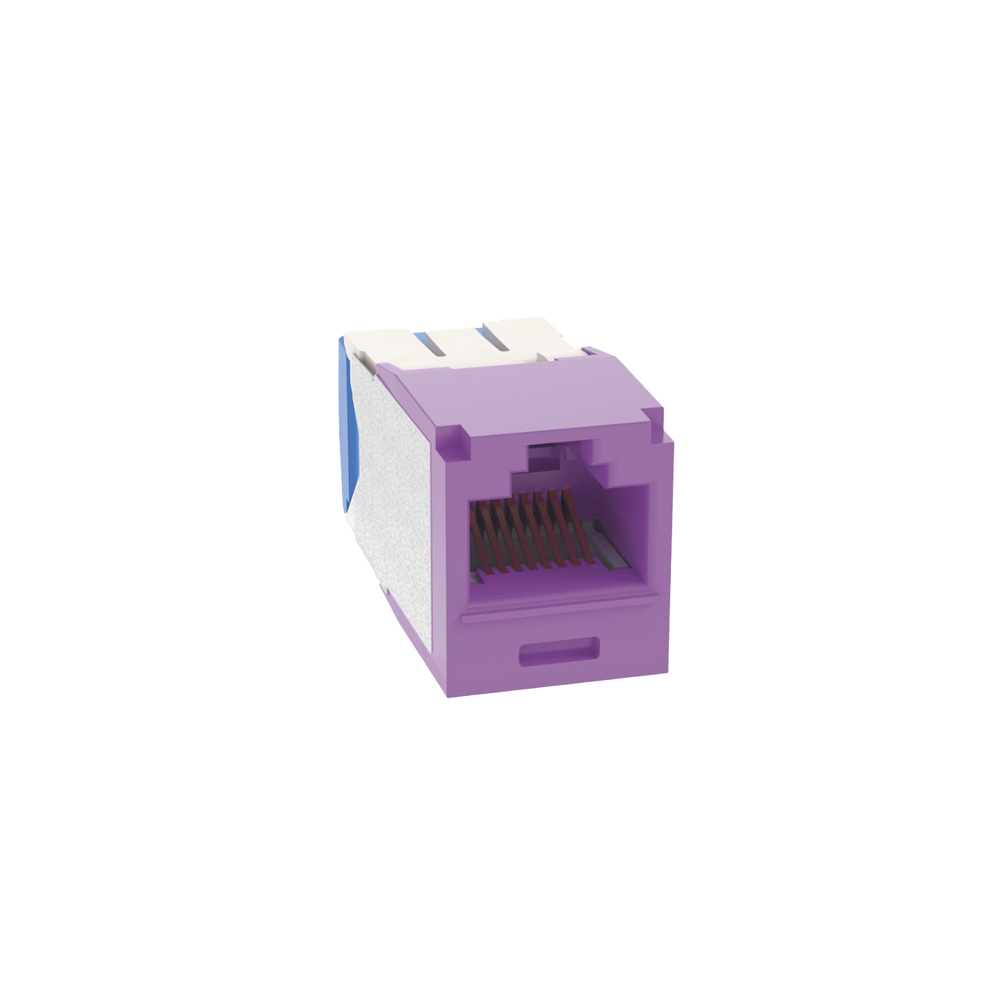 Conector Jack RJ45 Estilo TG, Mini-Com, Categoría 6A, de 8 posiciones y 8 cables, Color Violeta