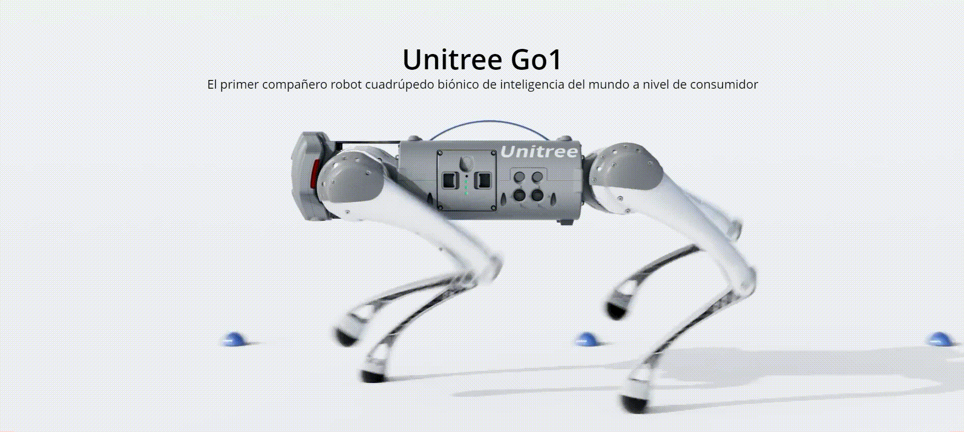 Companerorobot
