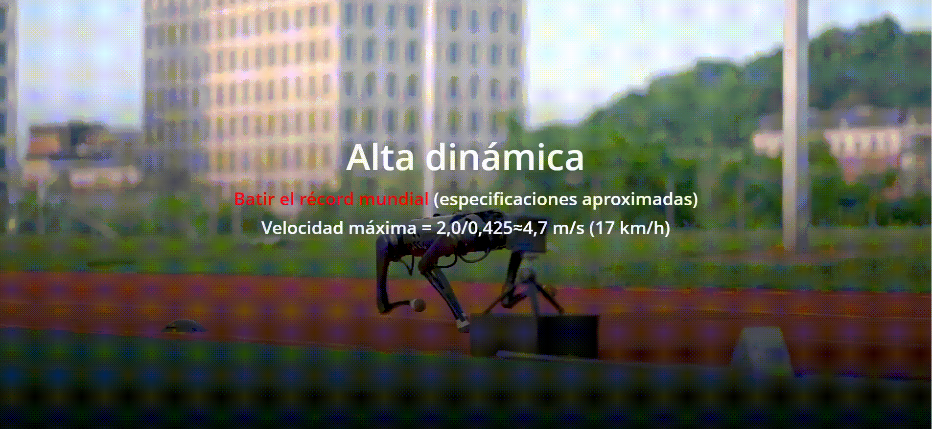 Velocidad