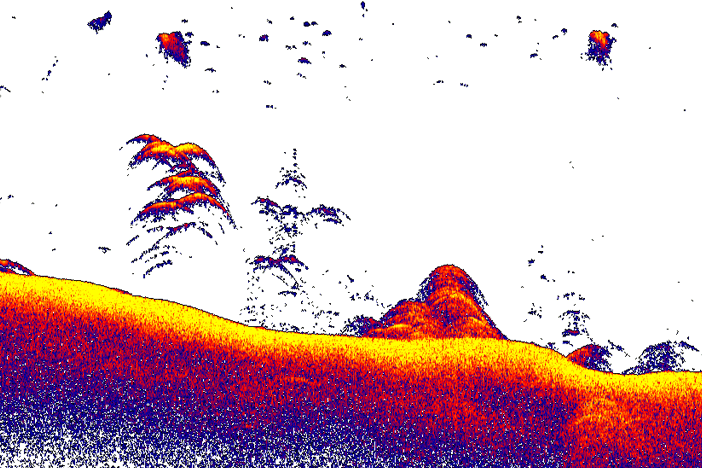 Sonda CHIRP.png